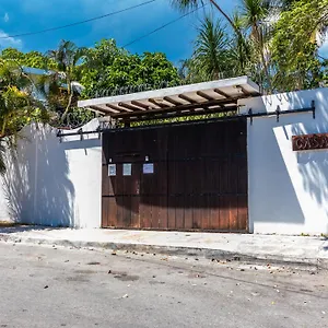https://bed-breakfast-casaejido.tulum-hotels.net